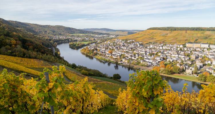 Viñedos de otoño con vistas al río Mosela y al pintoresco pueblo de Bernkastel-Kues.