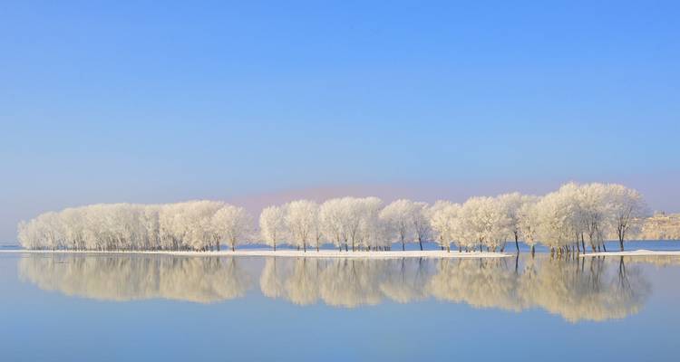 Los árboles cubiertos de escarcha bordean una isla que se refleja perfectamente en un lago tranquilo y cristalino bajo un cielo azul despejado.