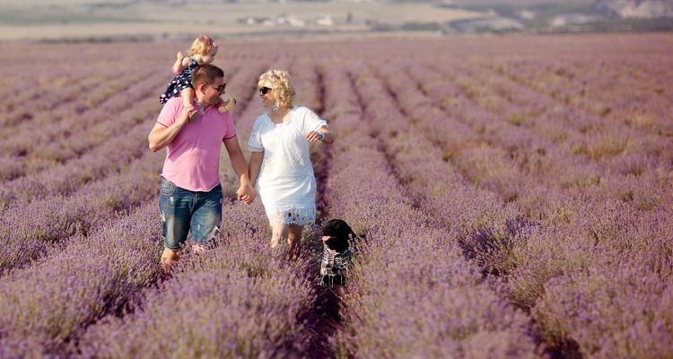 Ruta del Ródano Mediterráneo 2026 - A-ROSA STELLA - A-ROSA 7