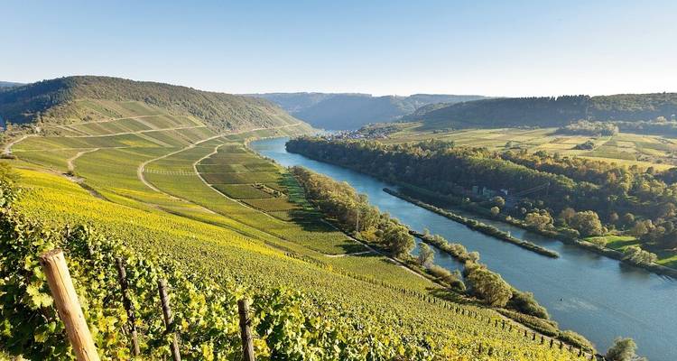 Los viñedos en terrazas descienden en cascada hacia un río serpenteante a través de un paisaje de valle soleado.