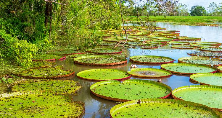 Explora Perú y Bolivia (39 destinations) - Intrepid Travel 2