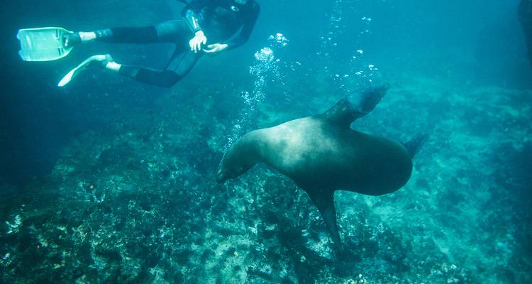 Sierra de Ecuador y Galápagos - Intrepid Travel 4