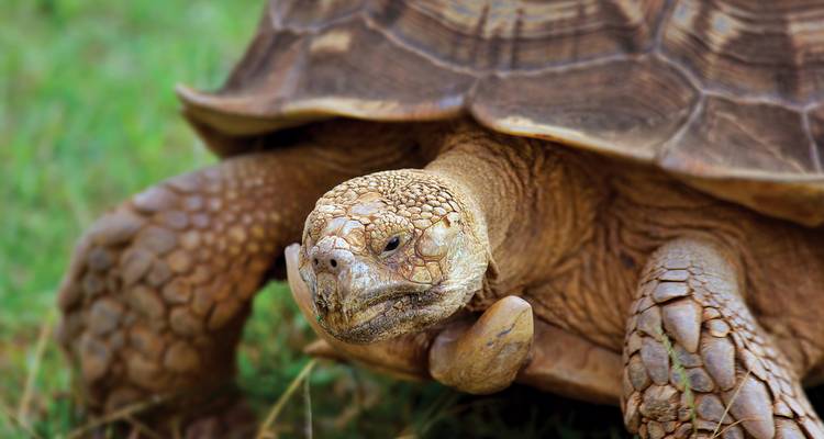 Sierra de Ecuador y Galápagos - Intrepid Travel 7