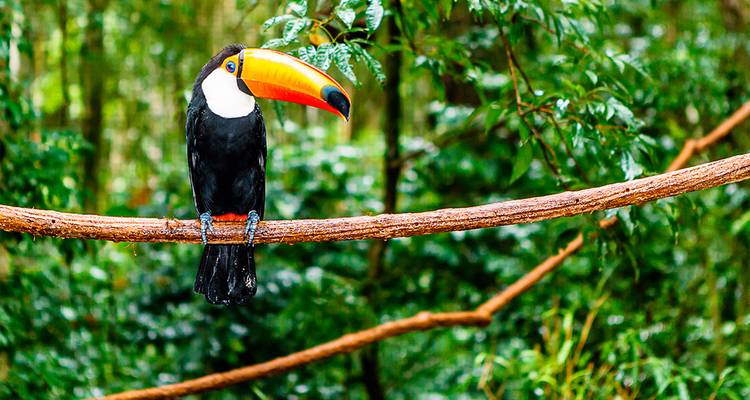Ultimate Peru, Argentina & Brazil (44 destinations) - Intrepid Travel 10