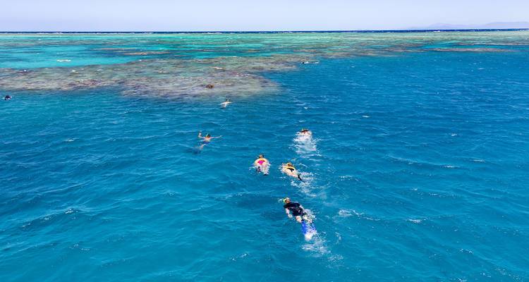 Snorkelaars genieten van het heldere water van het Great Barrier Reef.
