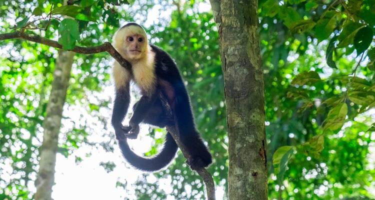 Le meilleur du Mexique et du Costa Rica (including Parc national de Manuel Antonio) - Intrepid Travel 1