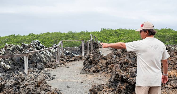 Le meilleur du Pérou et des Galápagos (22 destinations) (32 destinations) - Intrepid Travel 7