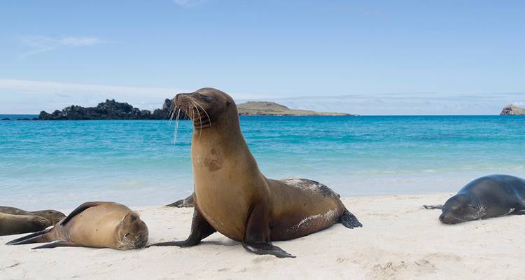Le meilleur du Pérou et des Galápagos (22 destinations) (32 destinations) - Intrepid Travel 8