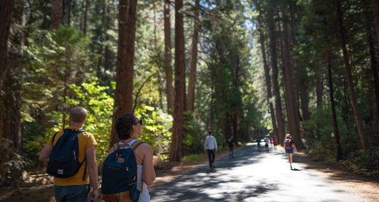 Real San Francisco to LA (10 destinations) - Intrepid Travel 8
