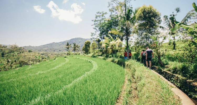 Bali & Lombok Adventure (9 destinations) - Intrepid Travel 8
