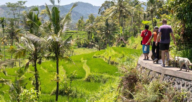 Aventura en Bali y Lombok (9 destinations) - Intrepid Travel 10