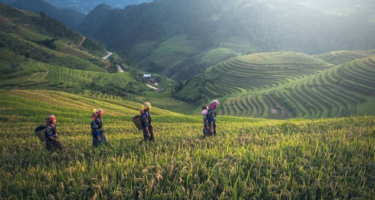 Aventure à Bali et Lombok (9 destinations) - Intrepid Travel 1