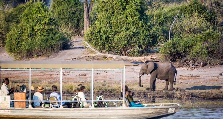 Toeristen op een boot die een olifant op een rivieroever observeren.