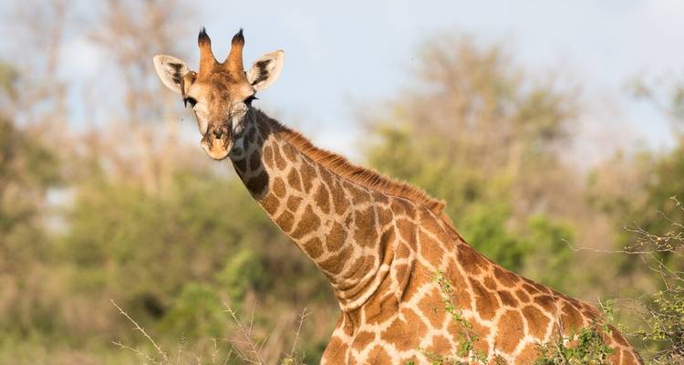 L'Afrique australe réelle (13 destinations) - Intrepid Travel 3