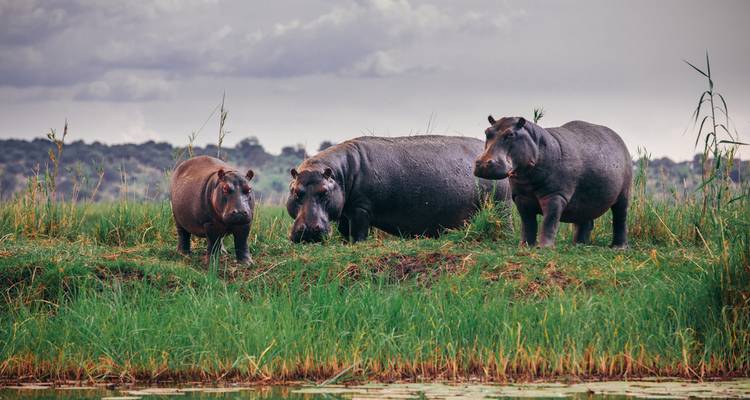 L'Afrique australe réelle (13 destinations) - Intrepid Travel 7