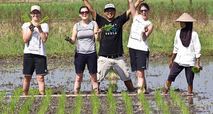 Explorador de Java y Bali (from Yakarta to Gitgit) - Intrepid Travel 4