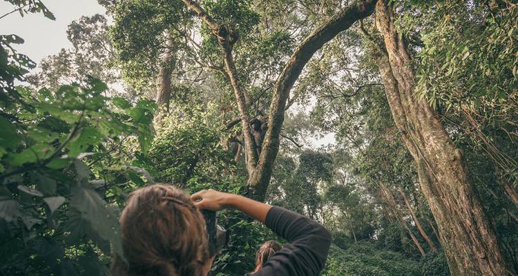 Gorillas to Vic Falls (30 destinations) - Intrepid Travel 9