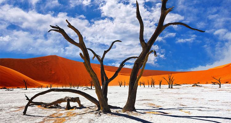 De Zanzíbar a Ciudad del Cabo (23 destinations) - Intrepid Travel 10