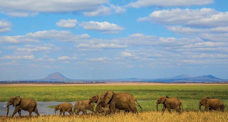 Premium Kenya & Tanzania (11 destinations) - Intrepid Premium 5