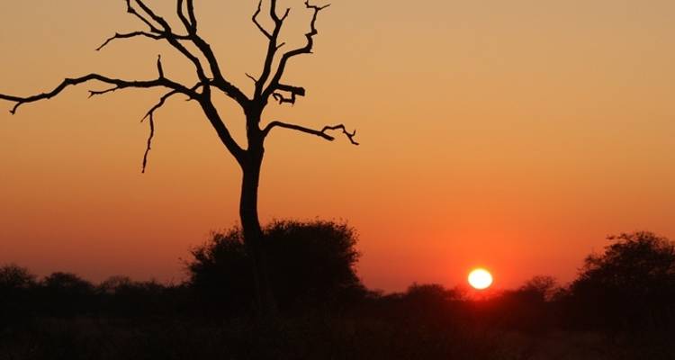 Premium L'Afrique australe en profondeur - Intrepid Premium 5
