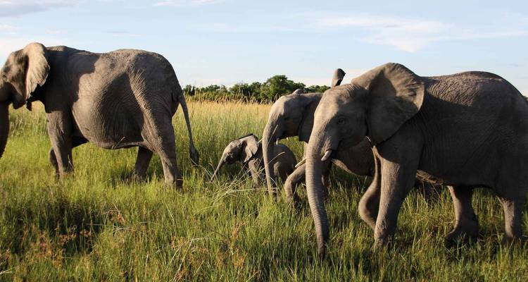 Premium L'Afrique australe en profondeur - Intrepid Premium 4