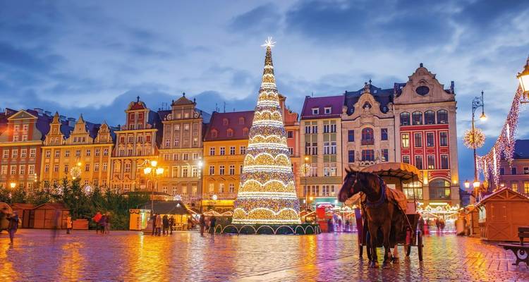 Plein met een versierde kerstboom en historische gebouwen.
