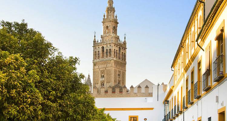 La torre campanario de la Giralda se alza sobre naranjos y edificios encalados bajo un cielo despejado de atardecer