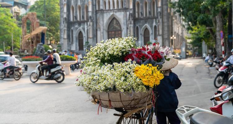 Precioso viaje a Vietnam en 13 días - TADY TRAVEL 5