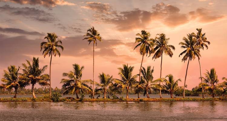 Viaje al sur de la India - Playas y experiencia en casa flotante - Bucket List Group Travel LLC 4