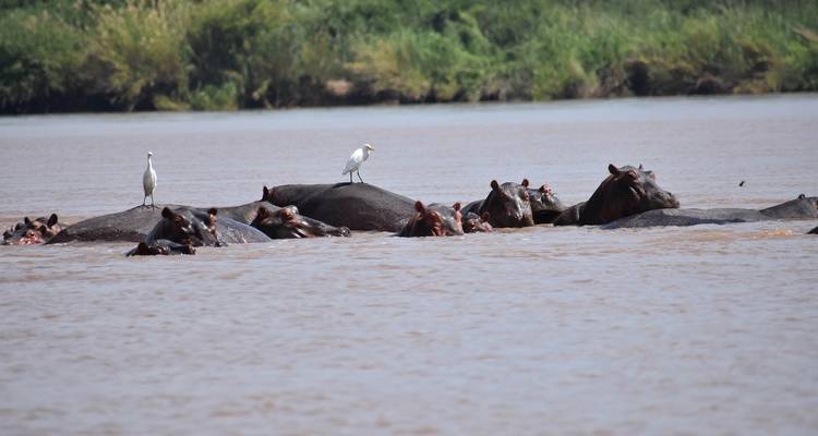 Zimbabwe – 14 Days Highlights Victoria Falls Ruins Safari - Bucket List Group Travel LLC 2