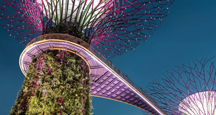 3-Day Singapore City Stopover - The Dragon Trip 2