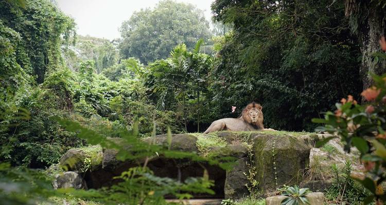 3-Day Singapore City Stopover - The Dragon Trip 7