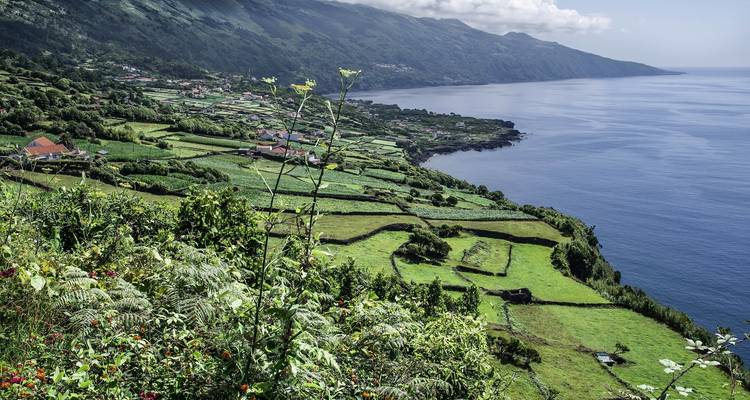 Luxuriant patchwork de champs verts s'étend vers une mer bleue calme sous des montagnes ondulantes.