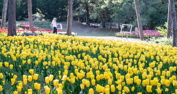 2025 Discover Jeju in 3days: A Curated All-Inclusive Experience - HanaTour ITC 9