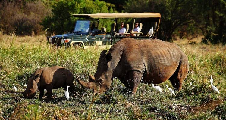 21 días de safari privado por el Monte Kenia, Ol Pejeta, Lago Nakuru, Puerta del Infierno, Maasai Mara, Amboseli, Tsavo y vacaciones en la playa de Diani - Gracepatt Ecotours Kenya 8