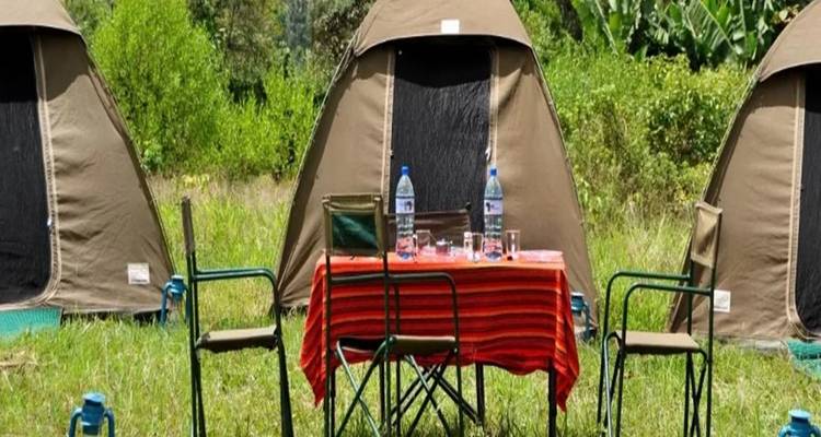 Descubre Nuestro Mejor Safari en Grupo Conjunto de 4 Días por Tanzania: El famoso safari en grupo por Tanzania - Africa Natural Tours 4