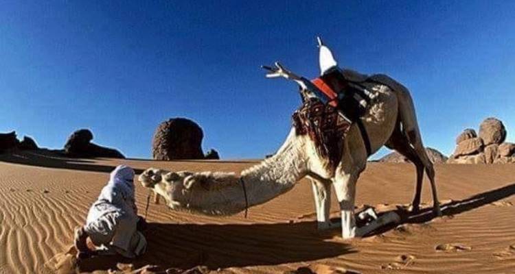 Excursión de lujo de 2 días por el desierto de Zagora hasta Erg Chigaga - Morhara Morocco Tours 10