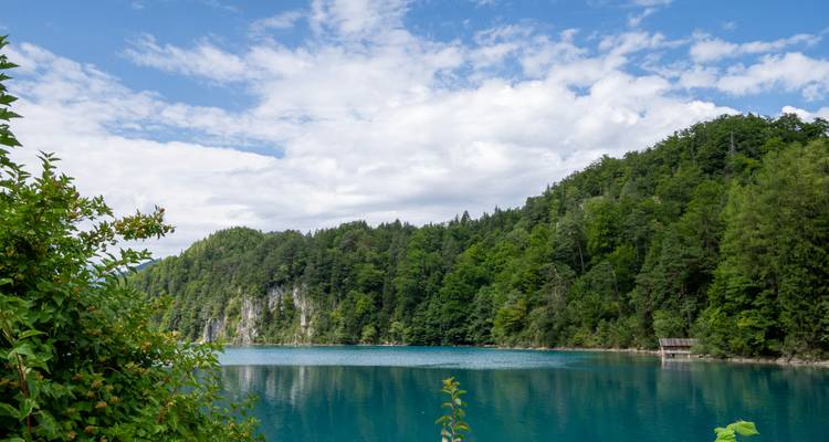 Ruhige Seenlandschaft mit klarem blauen Wasser und Wald.