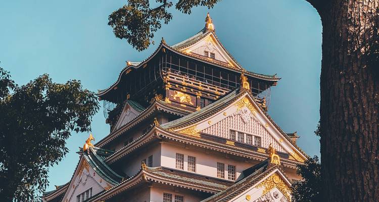 Circuit culturel de 11 jours au Japon :  Route de l'or et au-delà - The Dragon Trip 9