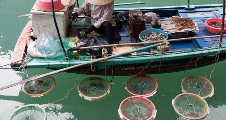 Croisière d'une journée dans la baie d'Ha Long, grotte, kayak, baignade, déjeuner, bus - Ha Long Bay Lux Cruises Tours 6