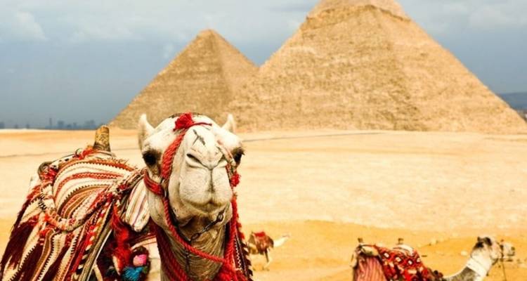 Lo Mejor de Egipto - Circuito de 5 Días El Cairo y Luxor con Visitas Turísticas - Egypt Tour Pro  1
