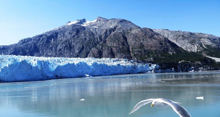 Découverte de l'Alaska avec une croisière Holland America de 7 nuits (de Fairbanks, AK à Vancouver, BC) (2025) - Collette 6