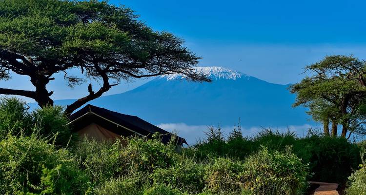 Safari de 4 días por Nairobi y Amboseli - Samson's Safaris 6
