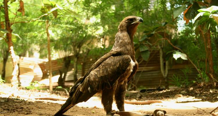 Full Day Malindi Tour - Samson's Safaris 2