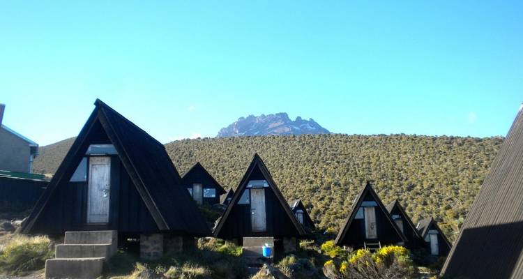 Escalada al Kilimanjaro en 5 días por la ruta Marangu. - All Weather Adventures 3