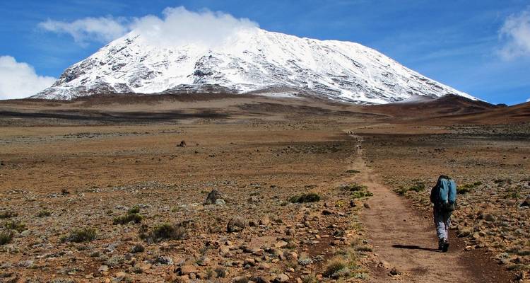 Escalada al Kilimanjaro en 5 días por la ruta Marangu. - All Weather Adventures 4