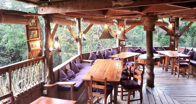 1-Day Ol Pejeta Conservancy Safari - Samson's Safaris 8