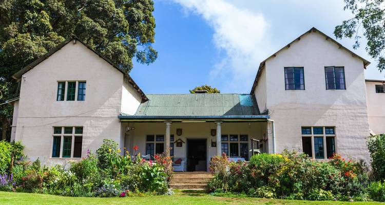 Visita a la granja de té de Limuru - Samson's Safaris 4