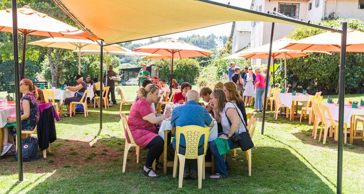 Visita a la granja de té de Limuru - Samson's Safaris 7