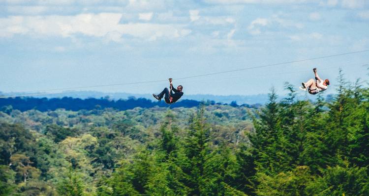 Recorrido por el bosque de Aberdare - Samson's Safaris 4
